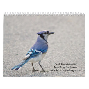 Small Birds 2025 Calendar