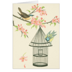 Small Birds Perched on a Branch and on a Birdcage