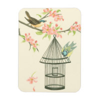 Small Birds Perched on a Branch and on a Birdcage