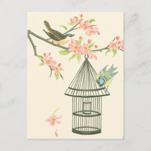 Small Birds Perched on a Branch and on a Birdcage Postcard