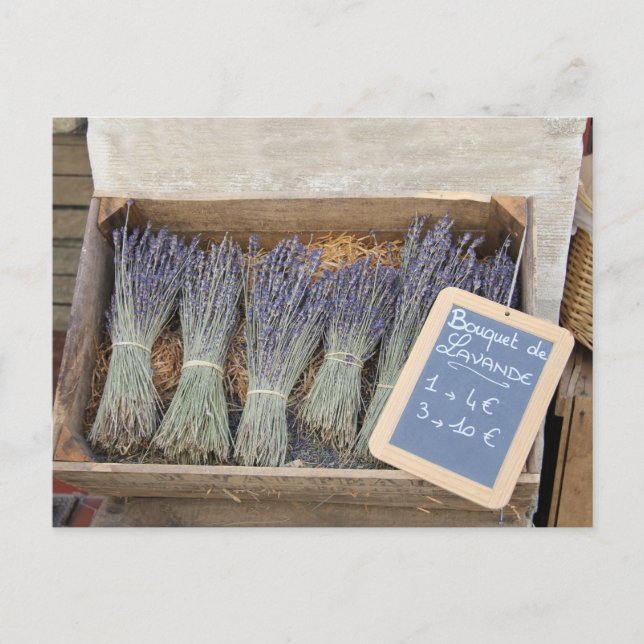 Small bouquets of lavender postcard (Front)