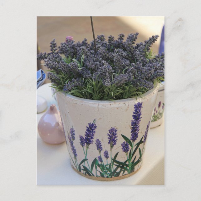 Small bouquets of lavender postcard (Front)