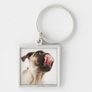 Small Breed of Dog with Short Muzzled Face Keychain