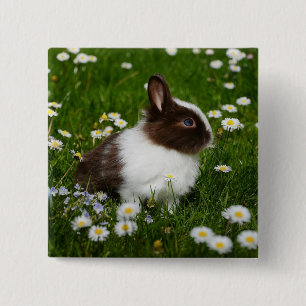 Small Brown and White Bunny in Flowers 2 Inch Square Button