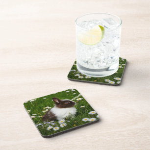 Small Brown and White Bunny in Flowers Coaster