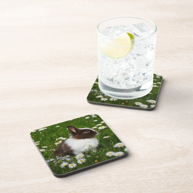 Small Brown and White Bunny in Flowers Coaster (Right Side)