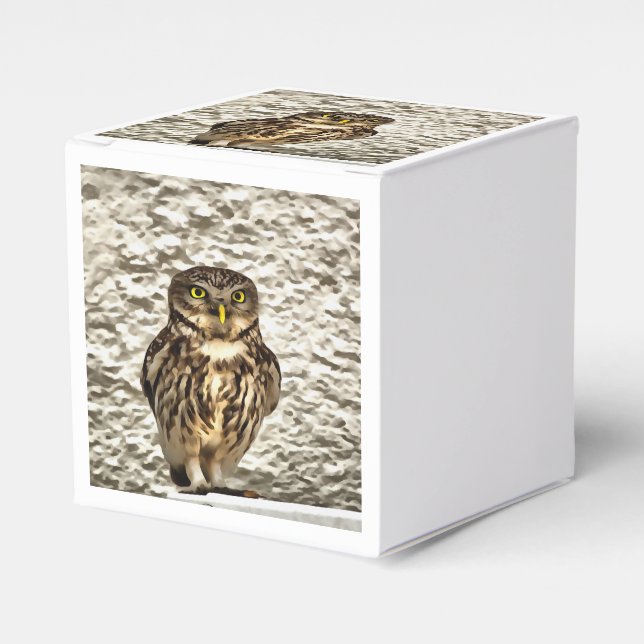 Small Brown Barn Owl Artistic Portrait Favor Box (Front Side)
