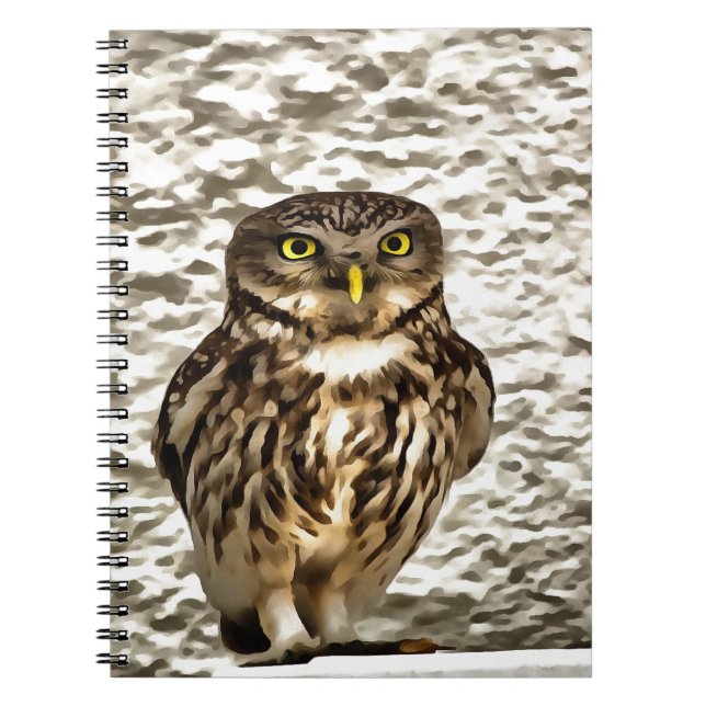 Small Brown Barn Owl Artistic Portrait Notebook (Front)
