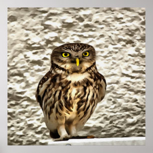 Small Brown Barn Owl Artistic Portrait Poster