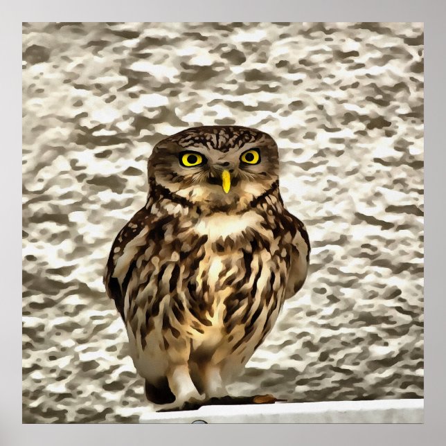 Small Brown Barn Owl Artistic Portrait Poster (Front)