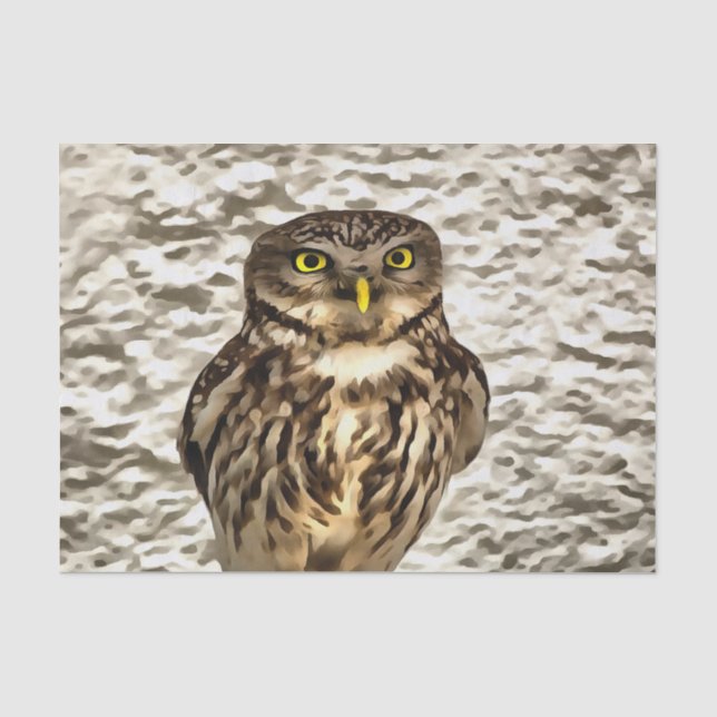 Small Brown Barn Owl Artistic Portrait Tissue Paper (Front)