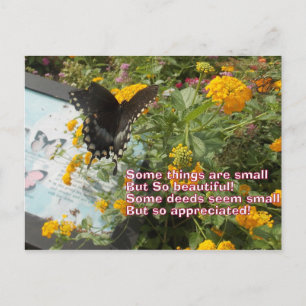 small but appreciated Butterfly card