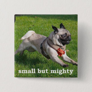 small but mighty 2 inch square button