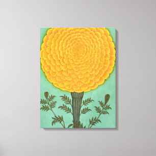 Small Clive Album   A Marigold Canvas Print