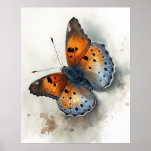Small Copper Butterfly Art Print Poster