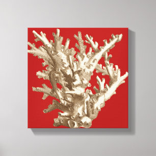 Small Coral in Red Canvas Print