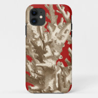 Small Coral in Red