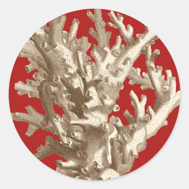 Small Coral in Red Classic Round Sticker (Front)