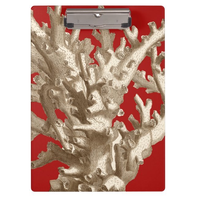 Small Coral in Red Clipboard (Front)