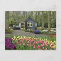 Small cottage flower shop, Keukenhof Gardens,