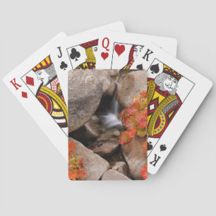 Small creek in autumn, California Playing Cards
