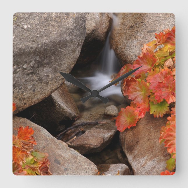 Small creek in autumn, California Square Wall Clock (Front)