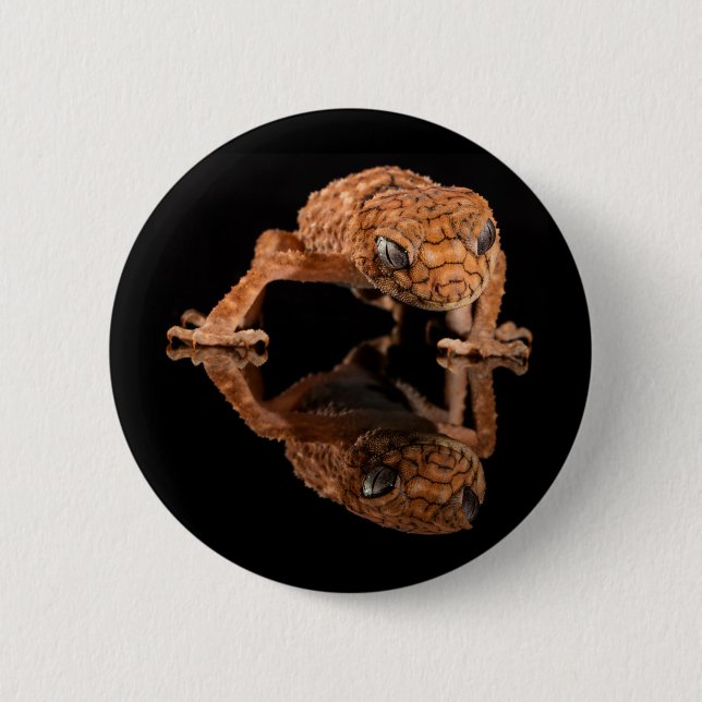 Small Cute Lizard Reptile with Reflection 2 Inch Round Button (Front)