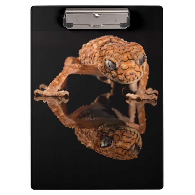 Small Cute Lizard Reptile with Reflection Clipboard (Front)