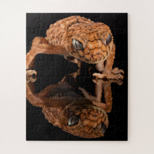 Small Cute Lizard Reptile with Reflection Jigsaw Puzzle