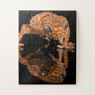 Small Cute Lizard Reptile with Reflection Jigsaw Puzzle