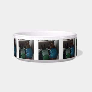 Small Dog Medium Pet Bowl
