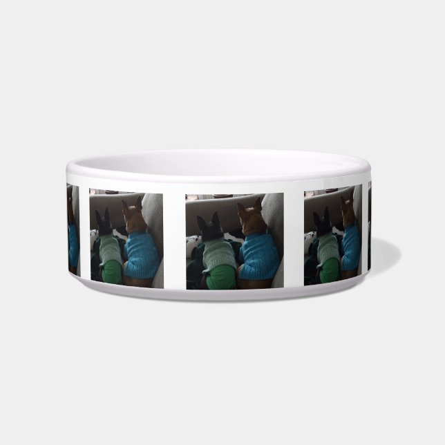 Small Dog Medium Pet Bowl (Front)