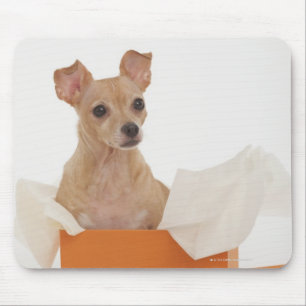 Small dog sitting in gift box mouse pad