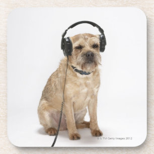 Small dog wearing headphones coaster