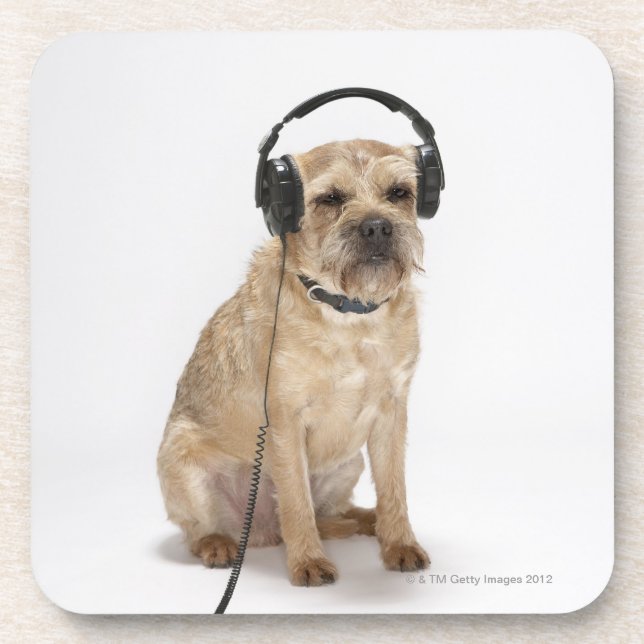 Small dog wearing headphones coaster (Front)
