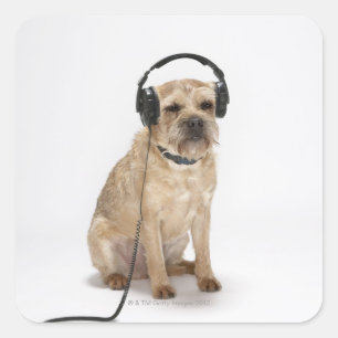 Small dog wearing headphones square sticker