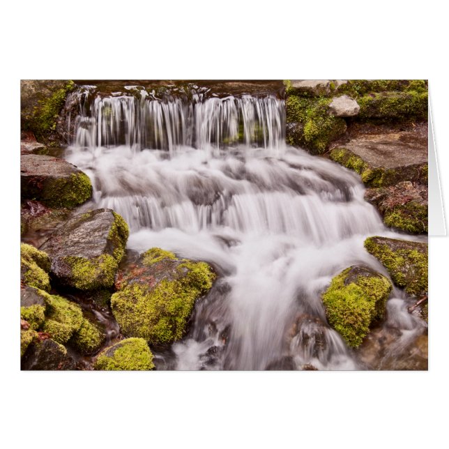 Small Falls In Yosemite (Front Horizontal)