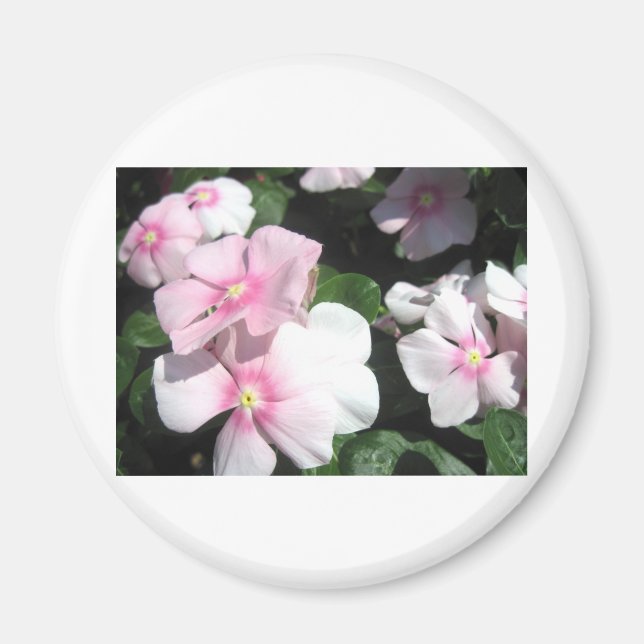 Small Flowers Magnet (Front)