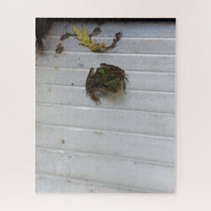 Small Frog Jigsaw Puzzle