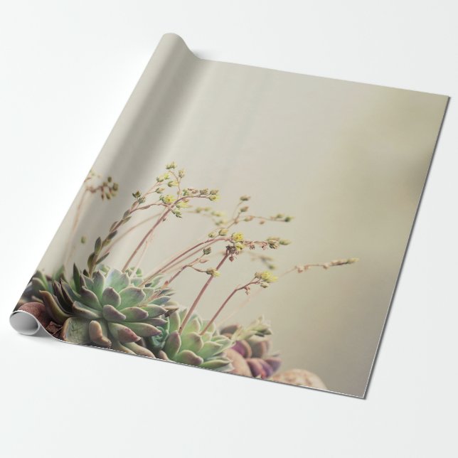 SMALL GARDEN SUCCULENT WRAPPING PAPER (Unrolled)