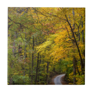Small Gravel Road Lined With Autumn Colour Tile
