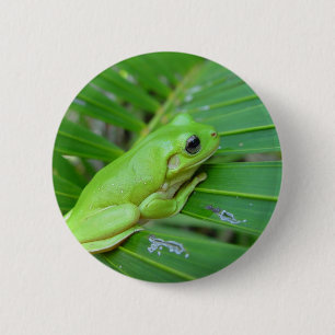 Small Green Frog 2 Inch Round Button