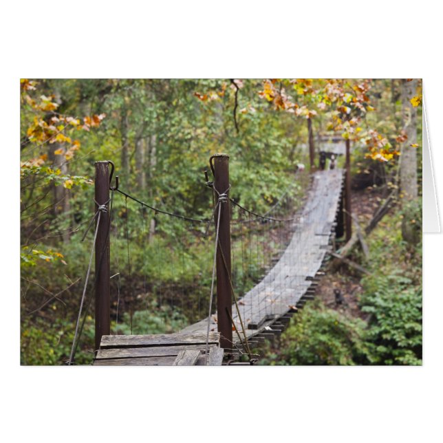 Small hanging bridge, National Coal Heritage (Front Horizontal)
