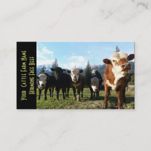 Small Herd of Beef Cattle Business Card