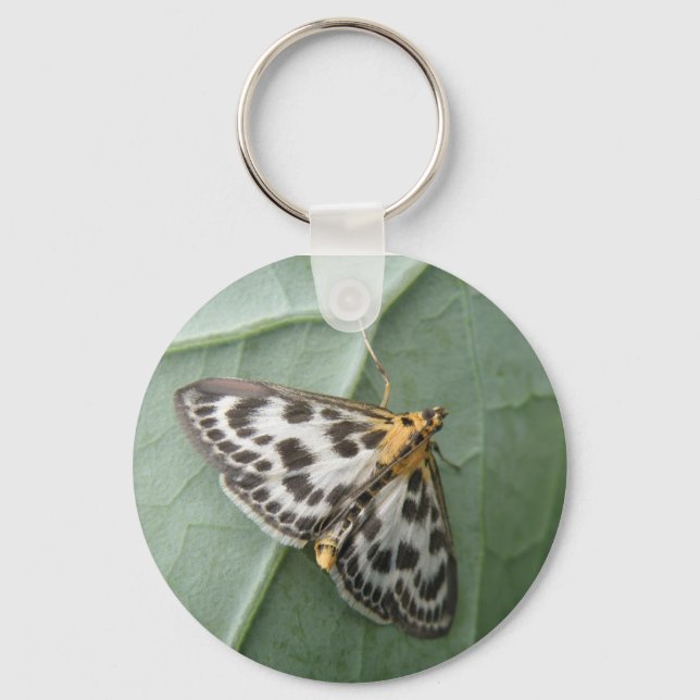 Small Magpie Moth Keychain (Front)