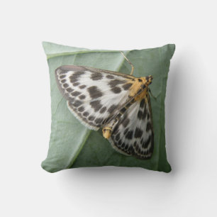 Small Magpie Moth Pillow