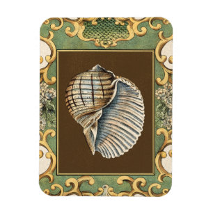 Small Mermaid's Shells Magnet