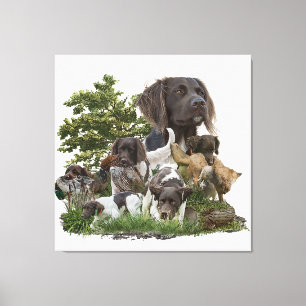 Small Munsterlander Canvas Print