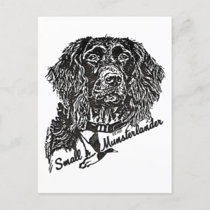 Small Munsterlander (logo) Postcard
