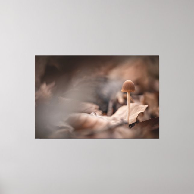 Small Mushroom Nature Photo Canvas Print (Front)